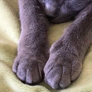 Meet your Posher, Gabrielle